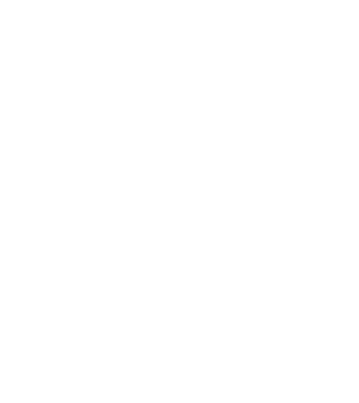 HiddenFlavor Scissors